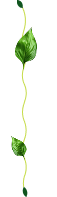 Line 1