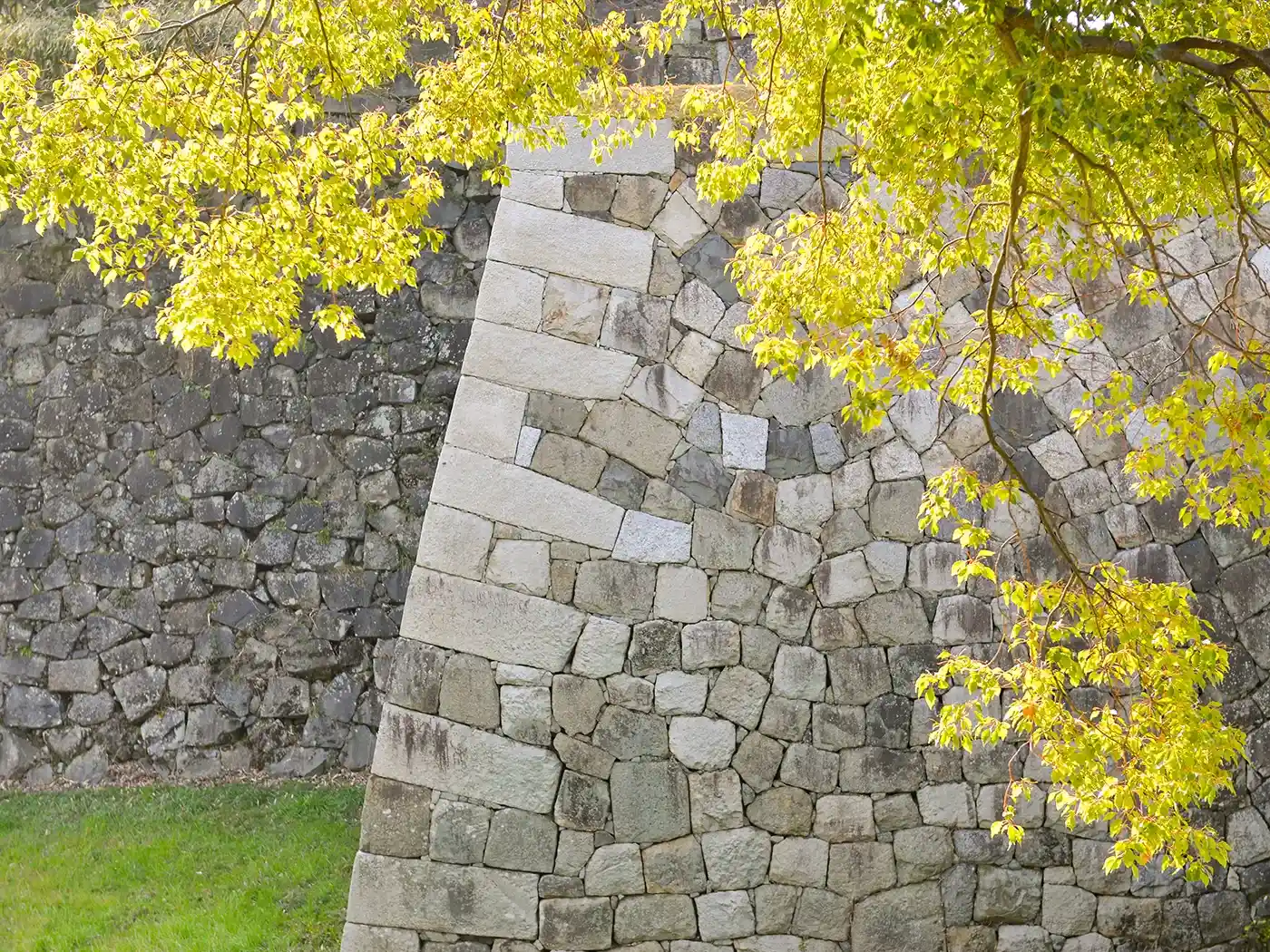 Stone Veneer and Brickwork 11zon